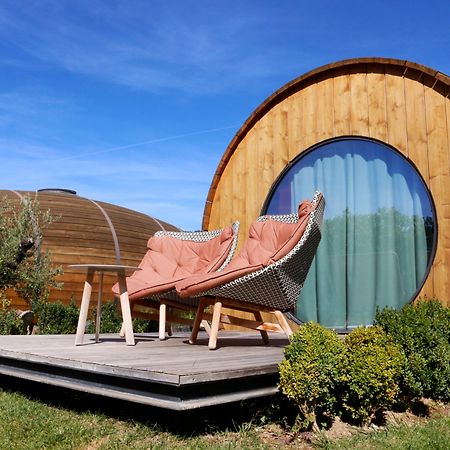 The Wine House Hotel - Quinta Da Pacheca Lamego Exterior photo