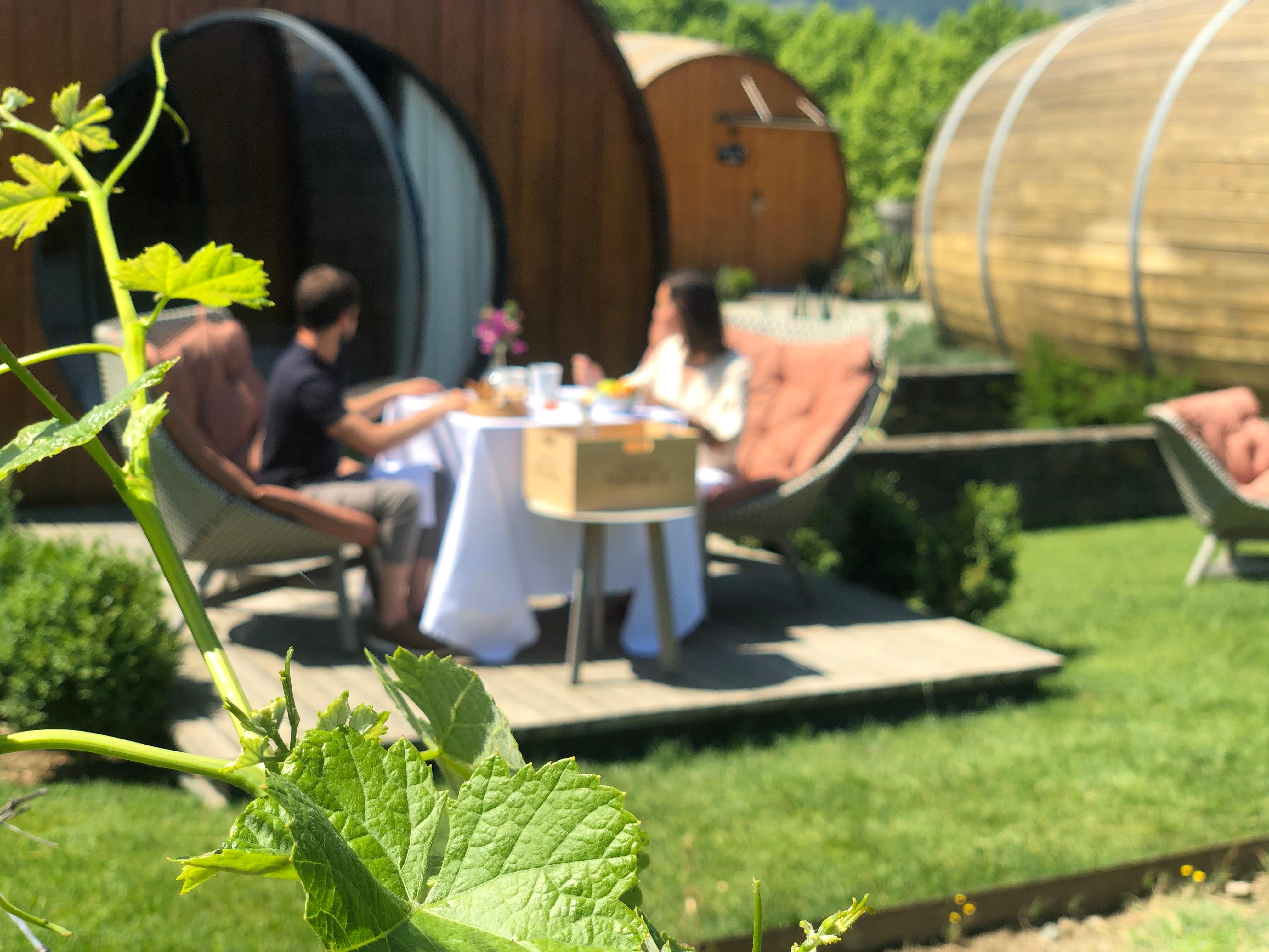 The Wine House Hotel - Quinta Da Pacheca Lamego Exterior photo