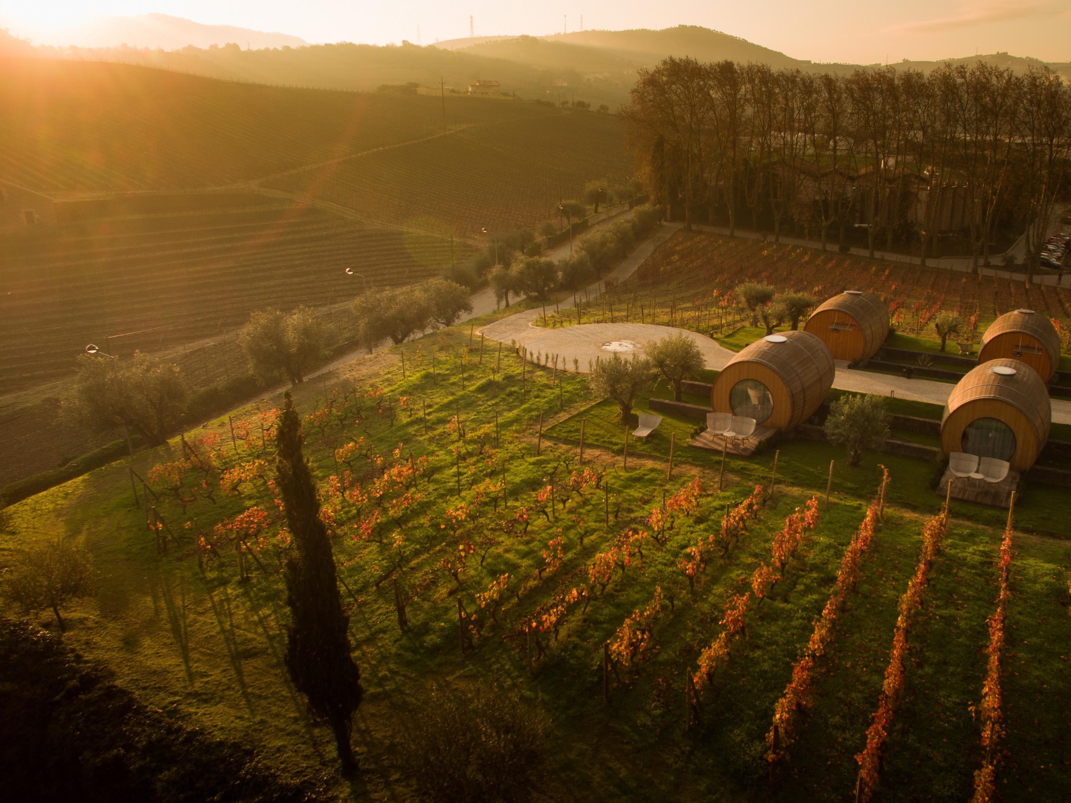 The Wine House Hotel - Quinta Da Pacheca Lamego Exterior photo