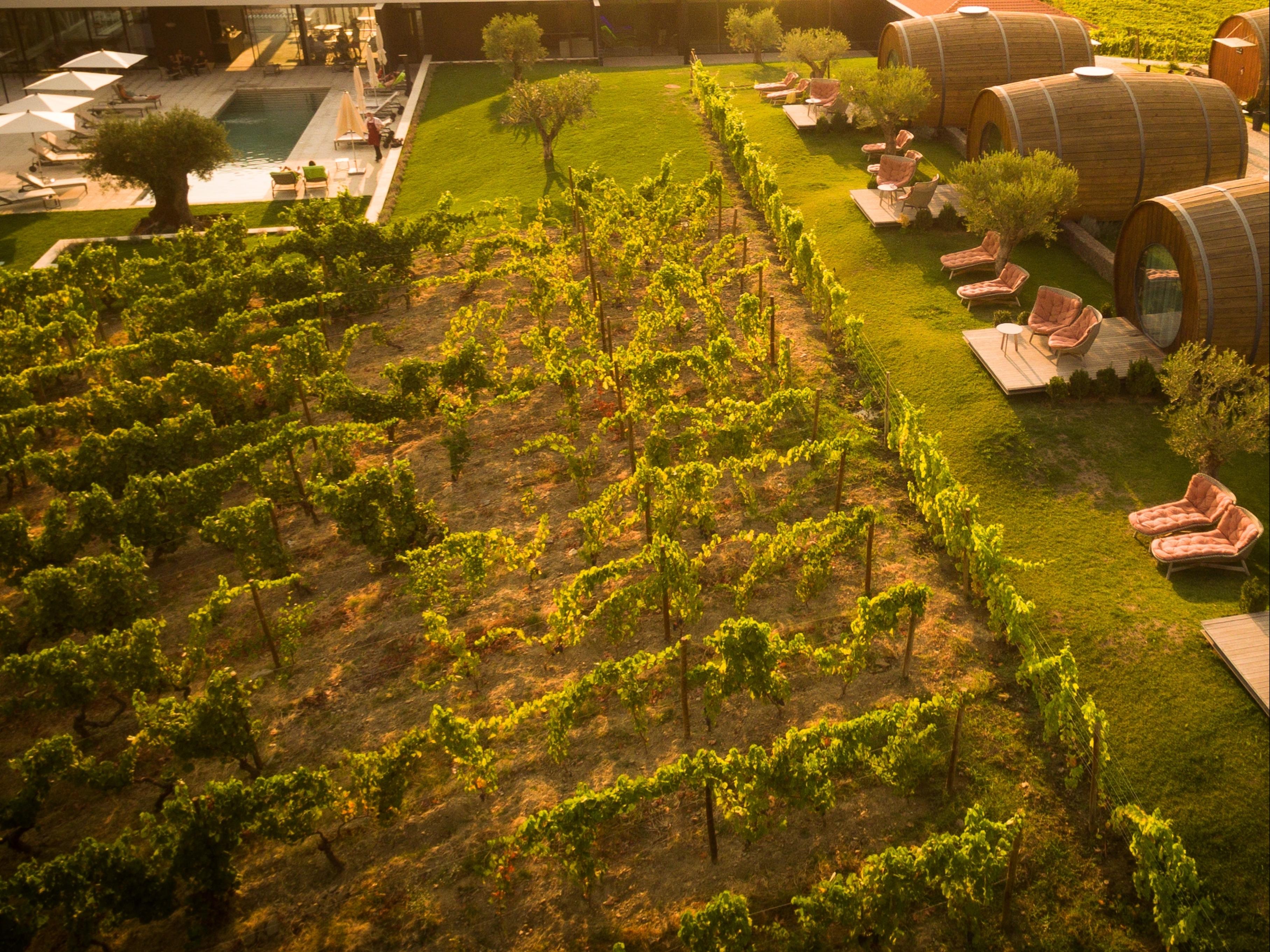 The Wine House Hotel - Quinta Da Pacheca Lamego Exterior photo