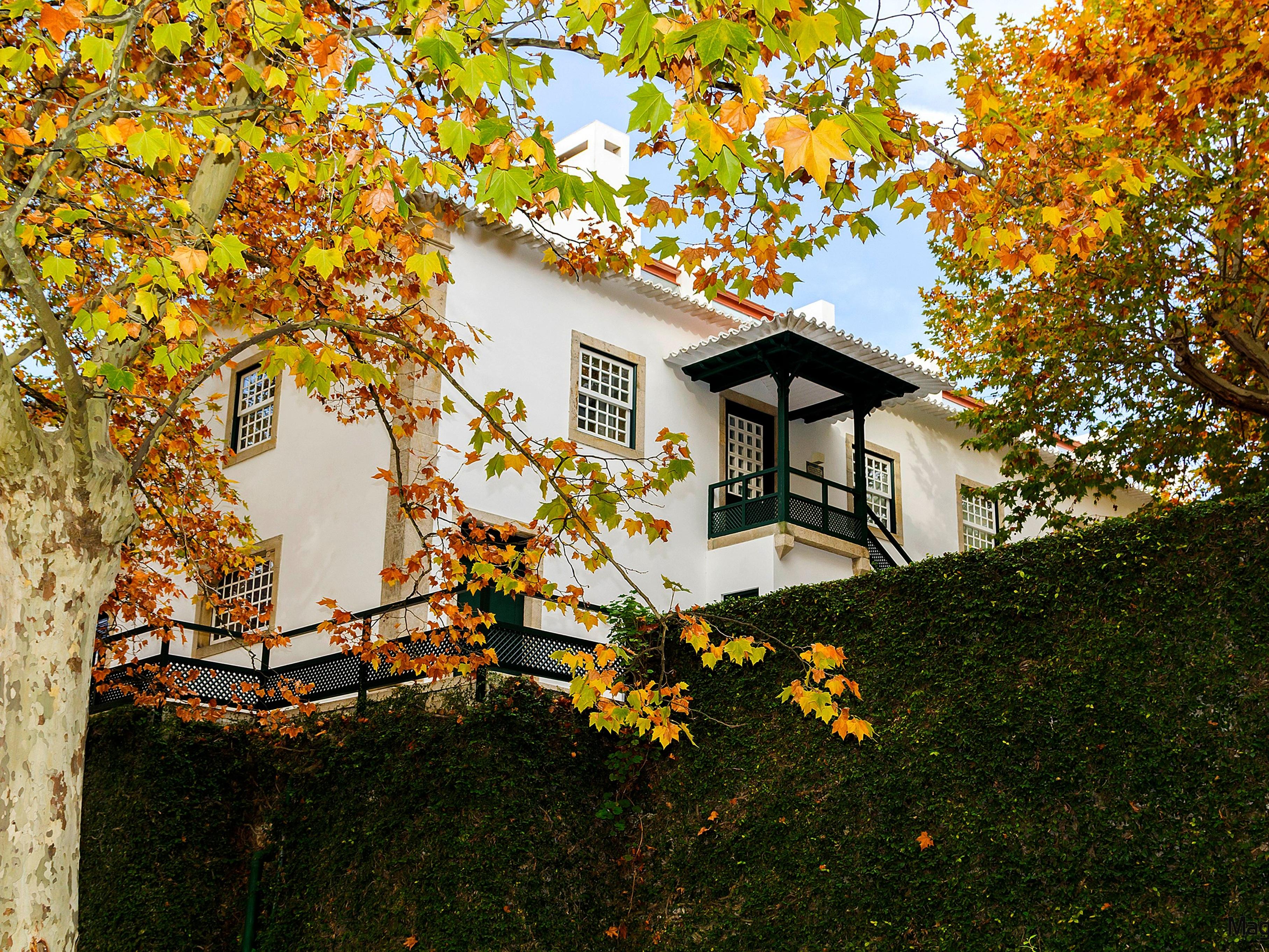 The Wine House Hotel - Quinta Da Pacheca Lamego Exterior photo