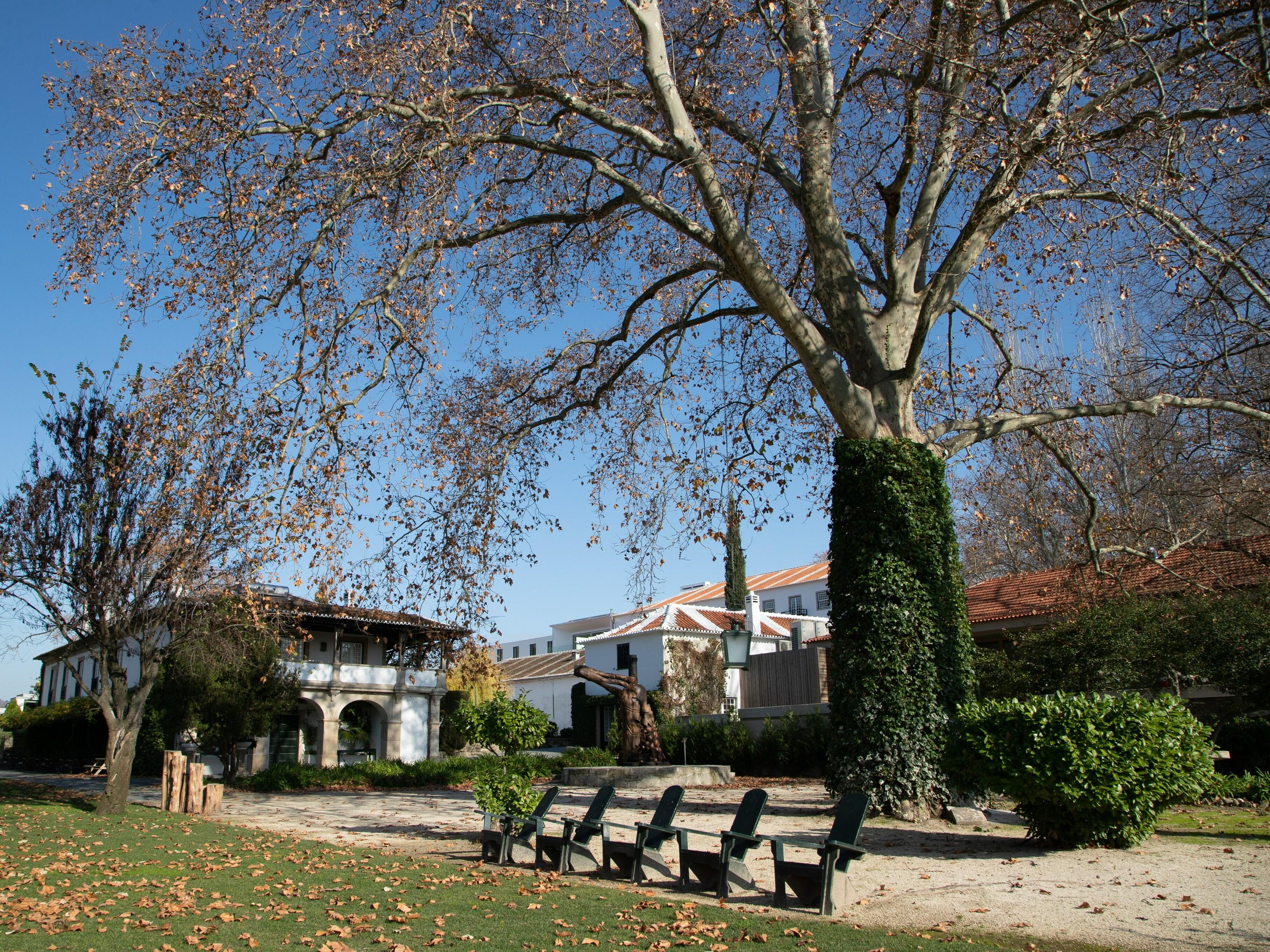 The Wine House Hotel - Quinta Da Pacheca Lamego Exterior photo