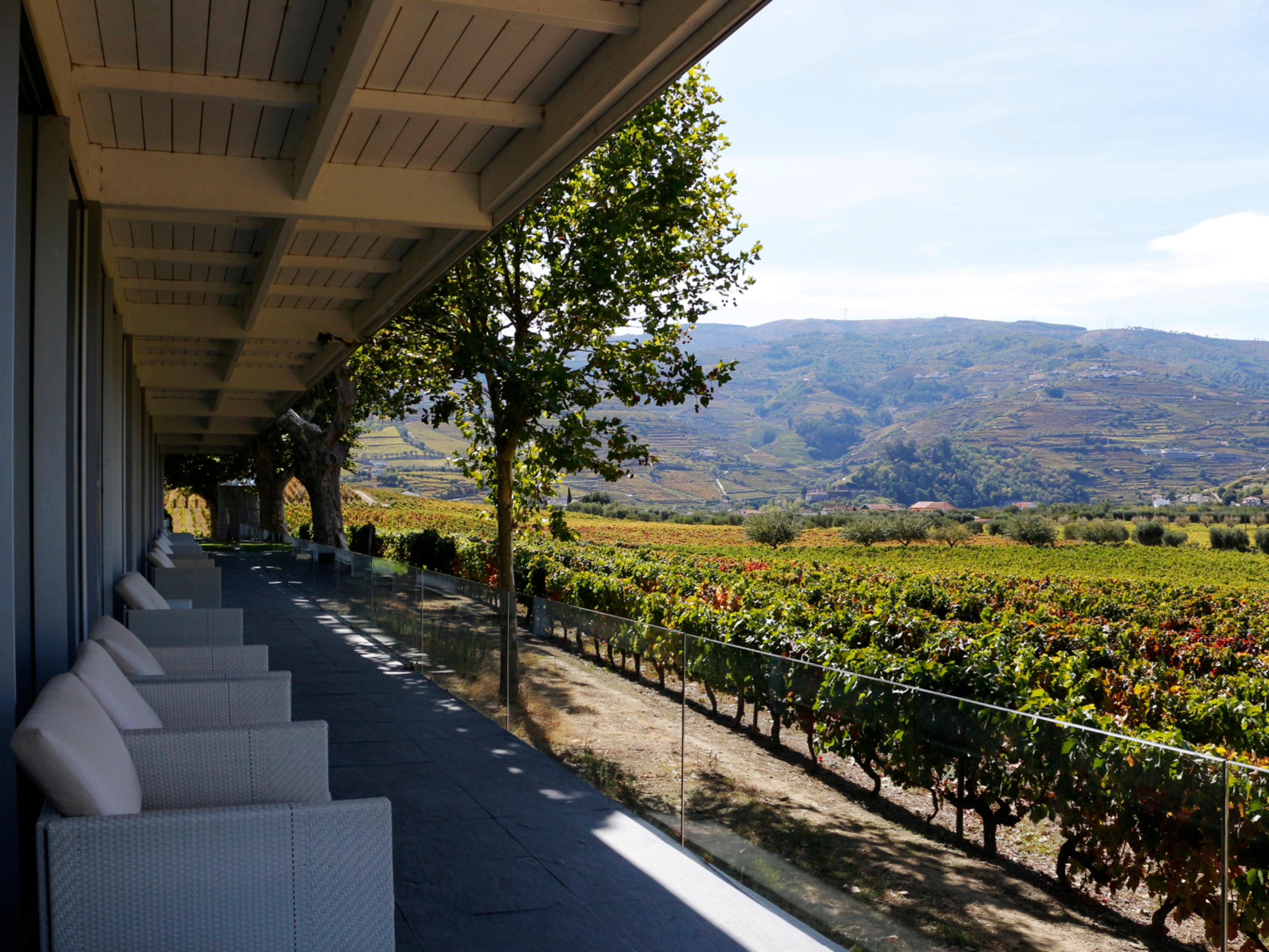 The Wine House Hotel - Quinta Da Pacheca Lamego Exterior photo